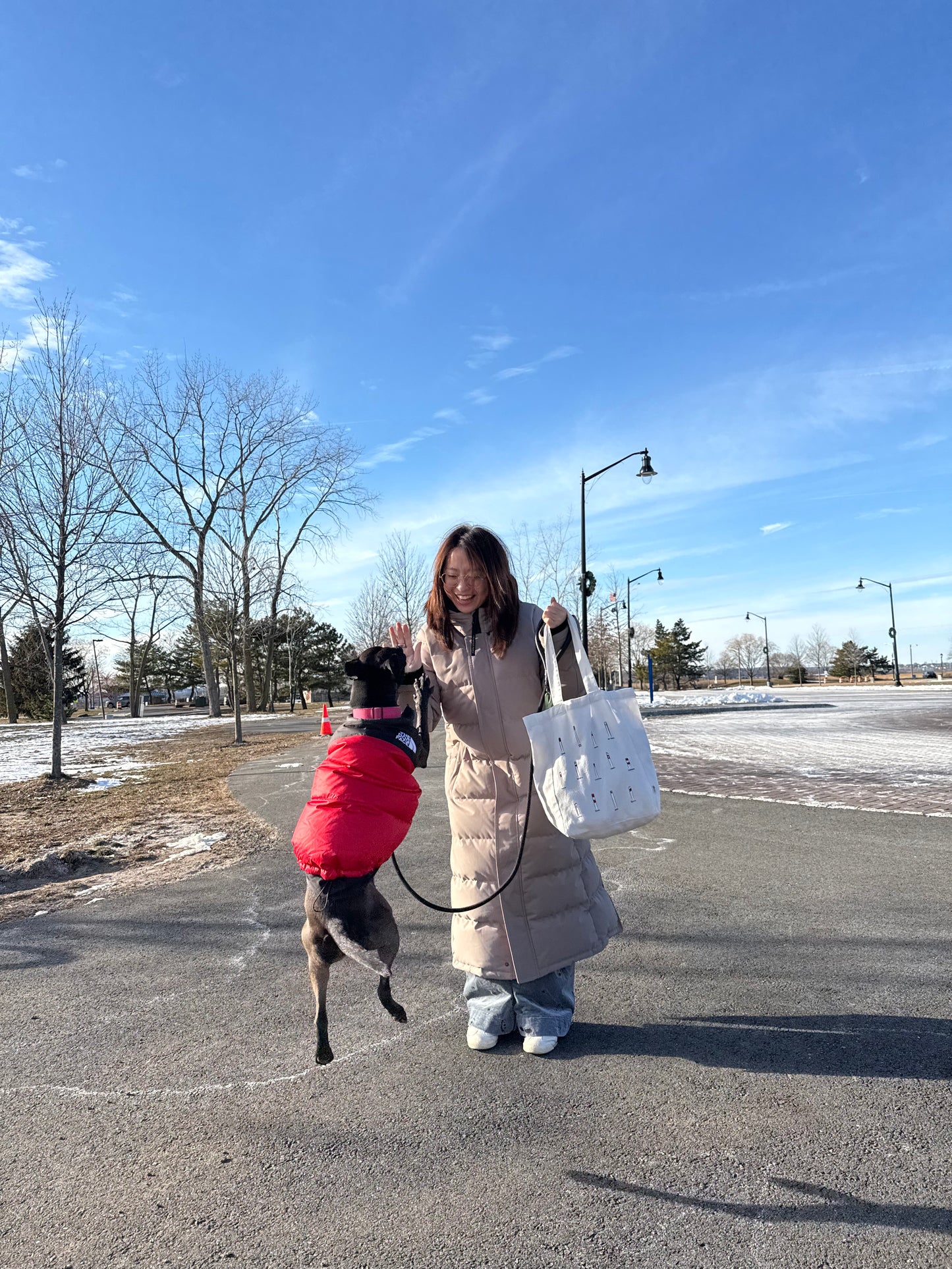Bollards of the World: Tote Bag
